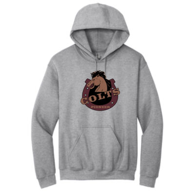 PC-ADULT-AC-HOODIE-GREY Thumbnail